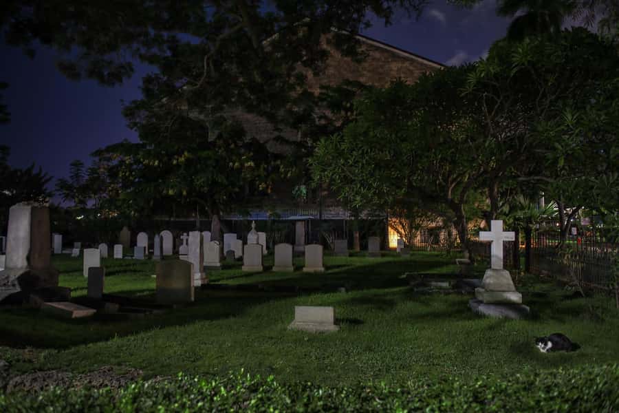 Honolulu Haunts: Ghosts and Spirits Walking Tour - The one-hour format and what it means for value