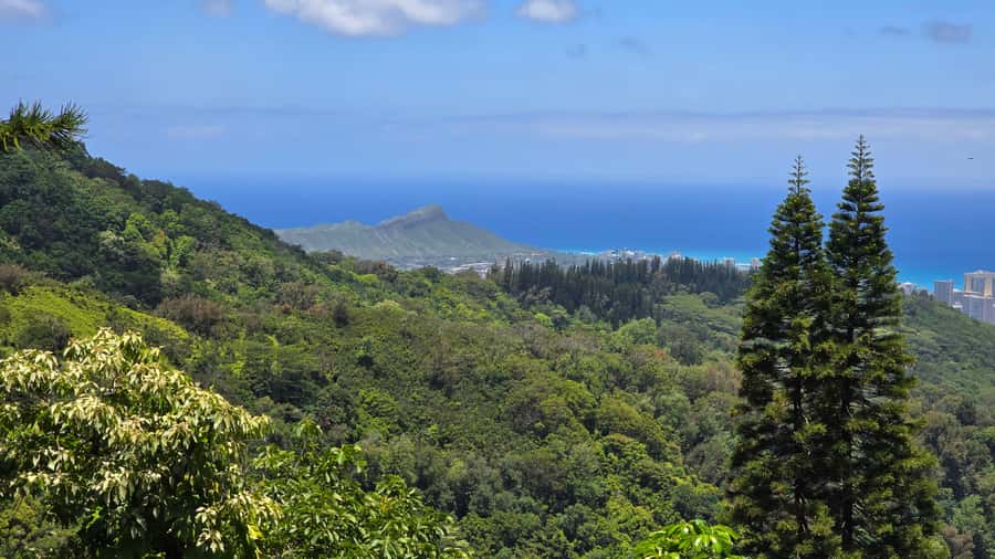 Honolulu: Hawaiian Volcanic Rainforest Hike - Should you book the Hawaiian Volcanic Rainforest Hike?