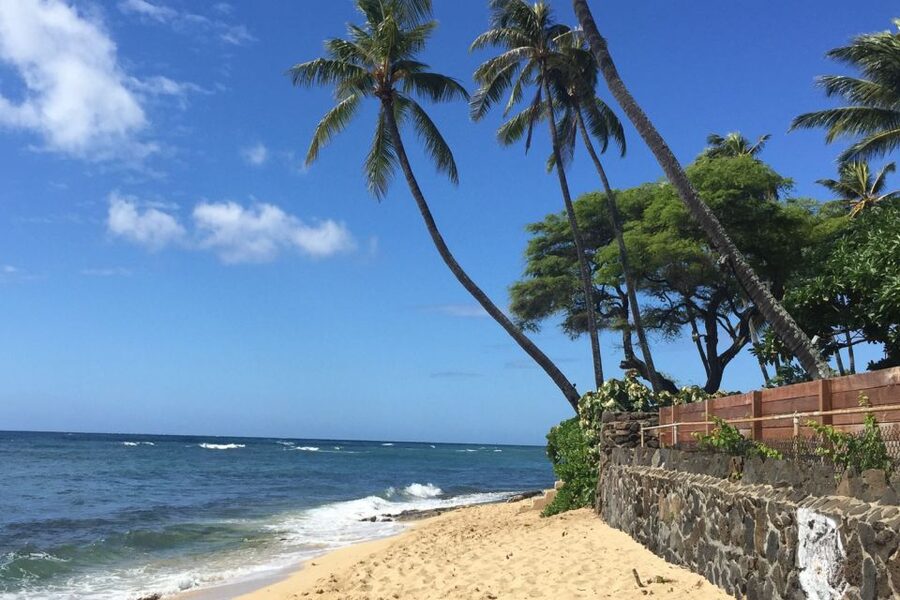 Honolulu: Highlights of Oahu Small Group Tour - Halona, Sandy Beach, and Makapuʻu