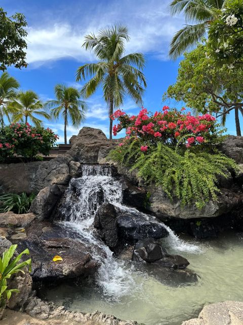 Honolulu: Highlights of Oahu Small Group Tour - Macadamia nuts and the Windward coast