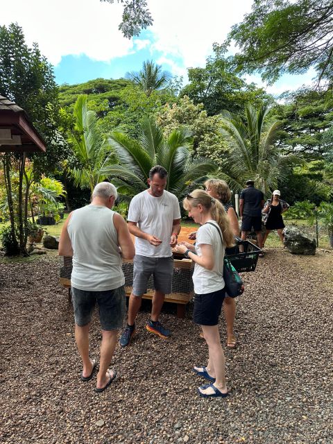 Honolulu: Highlights of Oahu Small Group Tour - Kahuku food trucks and a practical lunch break