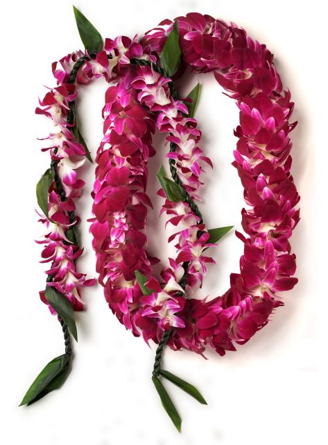 Honolulu Honeymoon Airport Lei Greeting - Key points at a glance