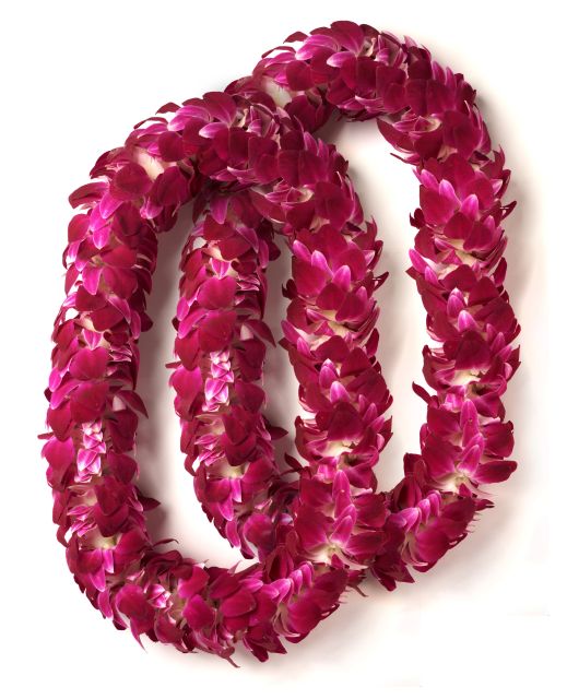 Honolulu Honeymoon Airport Lei Greeting - The greeter makes the difference