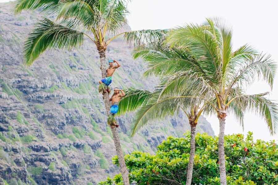 Honolulu: Ka Moana Luau Dinner and Show with Transportation - What the farm-to-table buffet actually includes