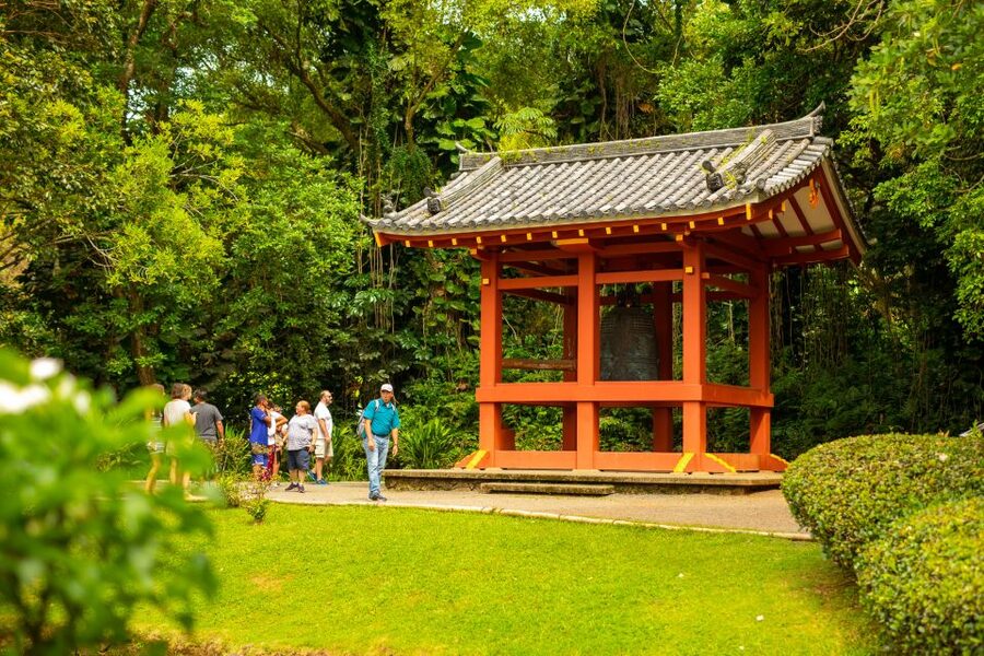 Honolulu: Oahu Island Full-Day Guided Tour by Bus with Lunch - Key points to know before booking