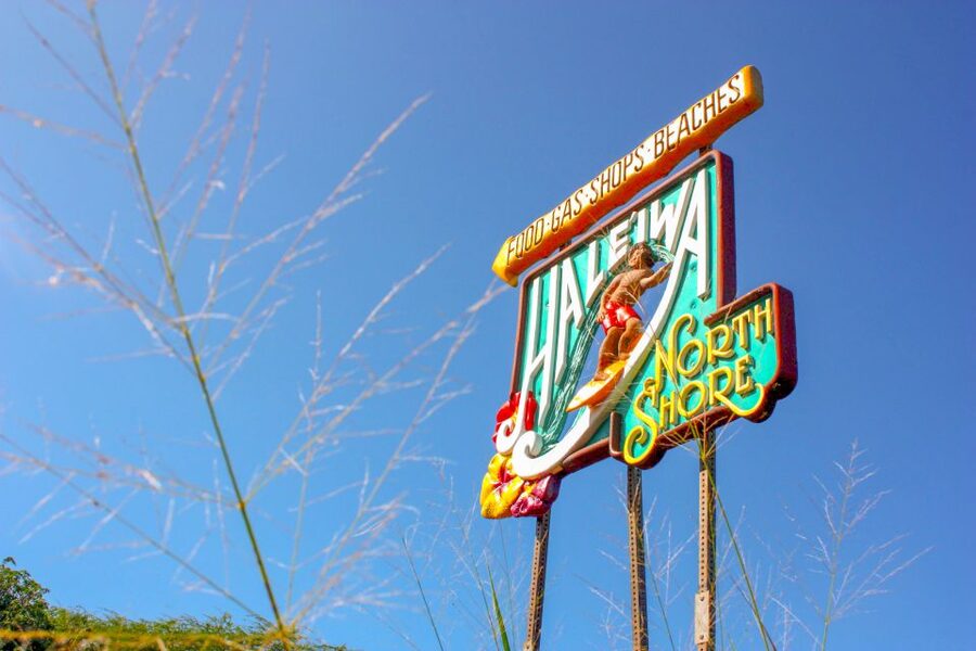 Honolulu: Oahu Island Full-Day Guided Tour by Bus with Lunch - What the $170 price really covers
