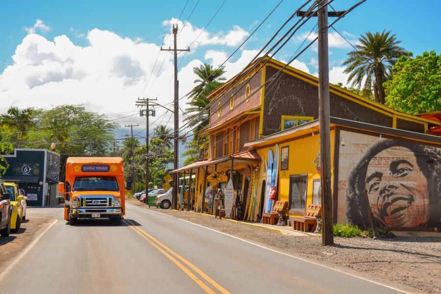 Honolulu: Oahu Island Full-Day Guided Tour by Bus with Lunch - North Shore beaches show Oahu’s surf country