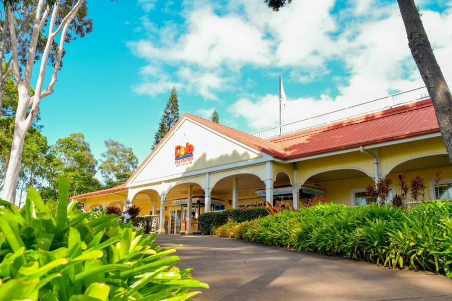 Honolulu: Oahu Island Full-Day Guided Tour by Bus with Lunch - Waimea Valley is the day’s active centerpiece