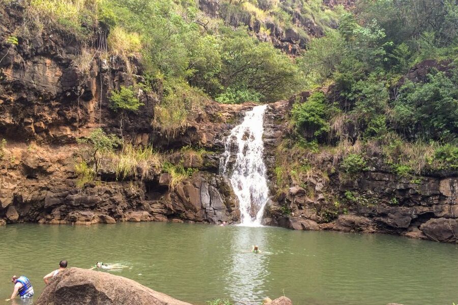 Honolulu: Oahu Island Full-Day Guided Tour by Bus with Lunch - Lunch breaks up a long day on the road