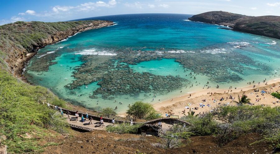 Honolulu: Oahu Island Highlights Tour with Multiple Stops - Waimānalo, plant nurseries, and the Windward side