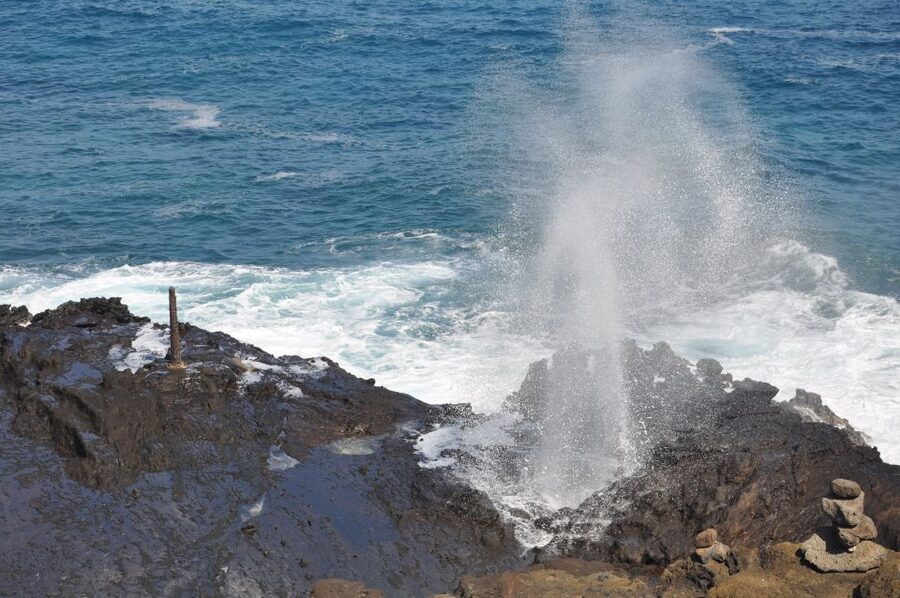 Honolulu: Oahu Island Highlights Tour with Multiple Stops - North Shore beaches and Oahu’s surfing identity
