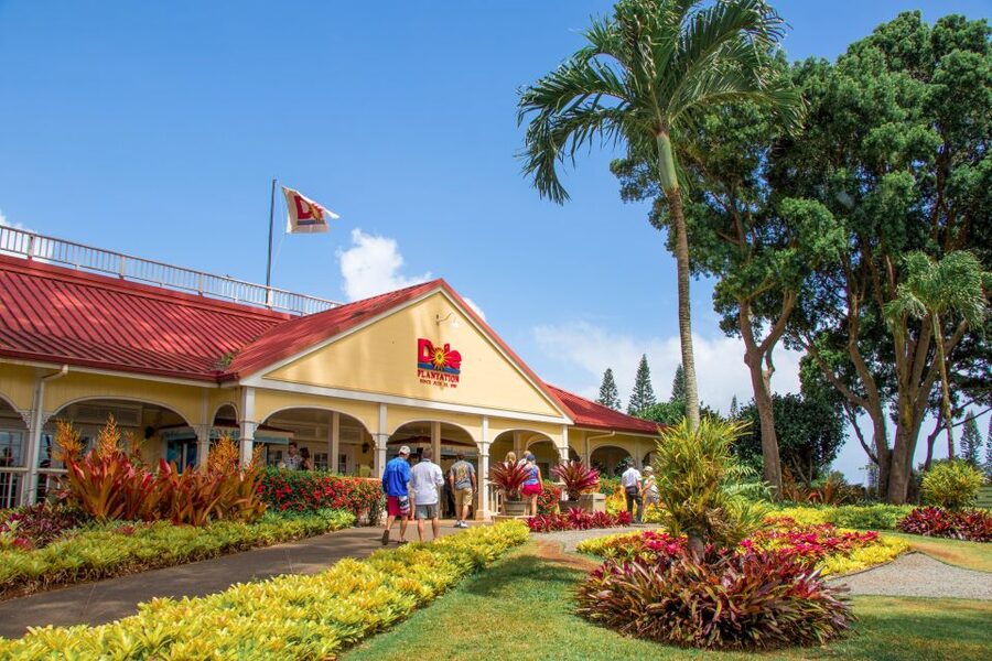 Honolulu: Oahu Sights and Bites Circle Island Foodie Tour - Coffee, chocolate, and macadamia nuts at Tropical Farms