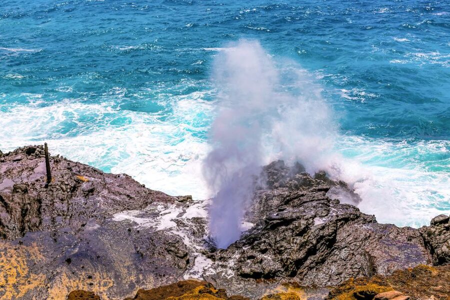 Honolulu: Oahu Sights and Bites Circle Island Foodie Tour - Halona Blowhole and Hanauma Bay