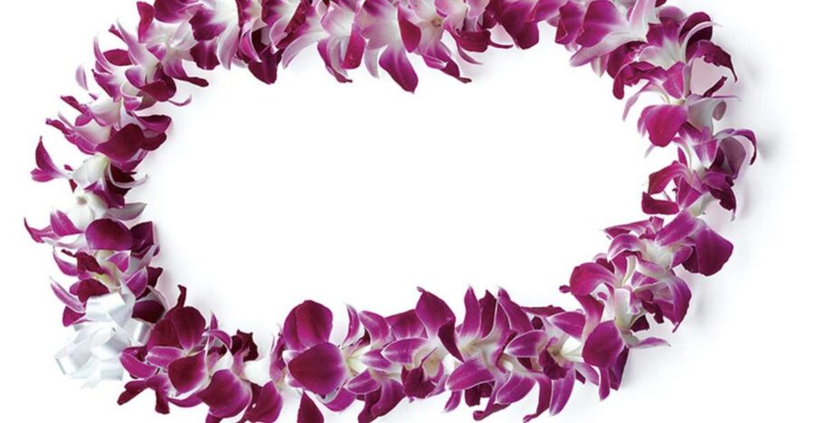 Honolulu: Private Airport Transfer with Arrival Lei Greeting - A lei greeting that starts your Hawaii visit well