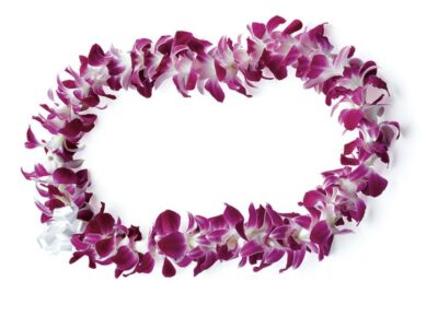 Private Airport Transfer with Arrival Lei Greeting