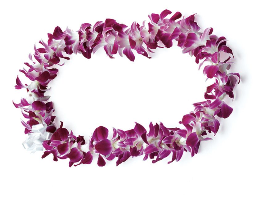 Honolulu: Private Airport Transfer with Arrival Lei Greeting - From Honolulu International Airport to Waikiki in about 30 minutes