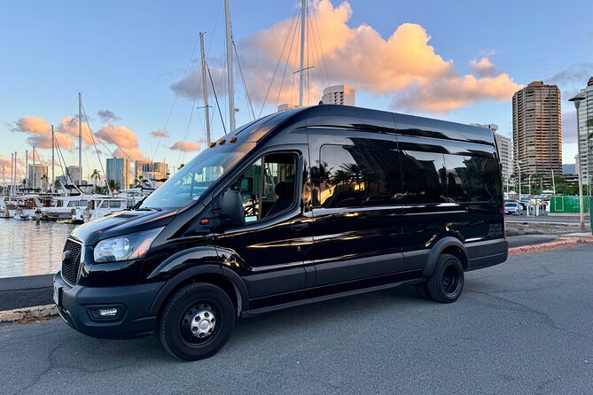 Honolulu Private Transfer: Airport, Port, Hotel (1-12 Passengers) - Key points for your Honolulu arrival