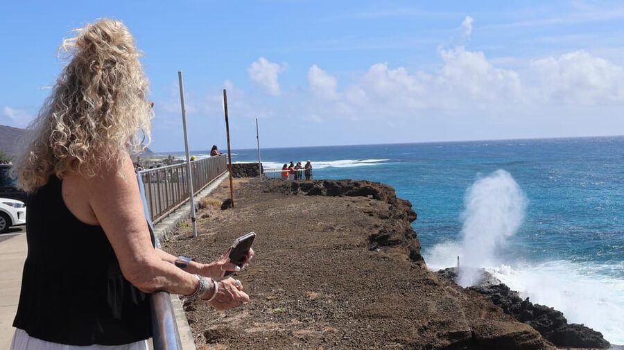 Honolulu: Stunning Views of Oahu! Half-day Scenic Tour - Is $75 a fair price for four hours?