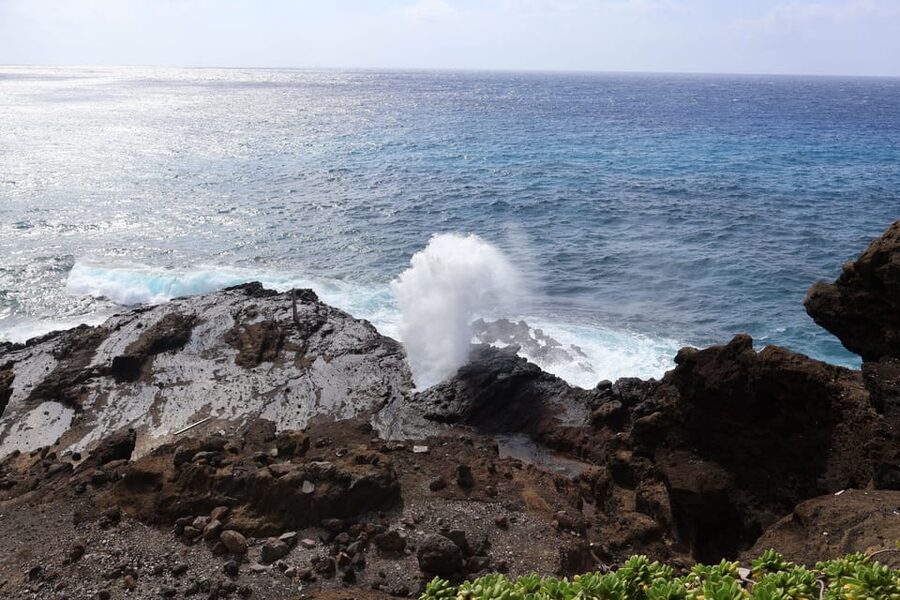 Honolulu: Stunning Views of Oahu! Half-day Scenic Tour - Who will enjoy this half-day tour most