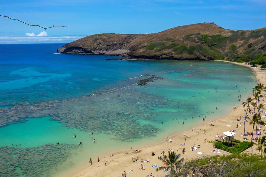 Honolulu: Ultimate Pearl Harbor and Circle Island Tour - Macadamia nuts and a practical lunch break