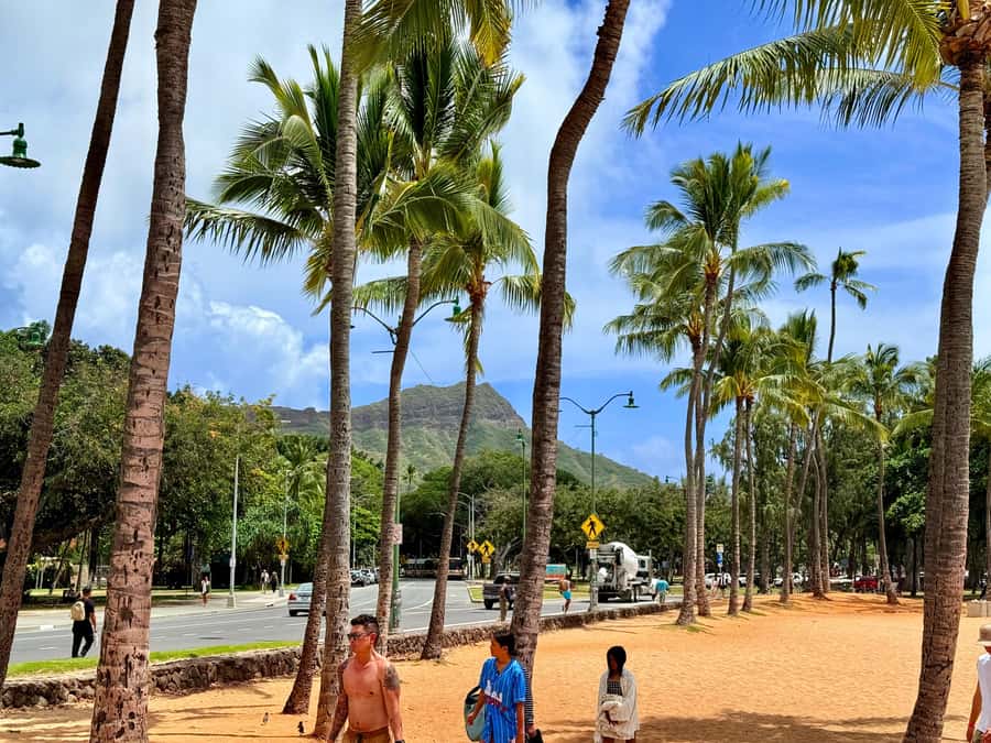 Honolulu: Waikiki Food Tour with Local Guide - Is $100 a fair price?
