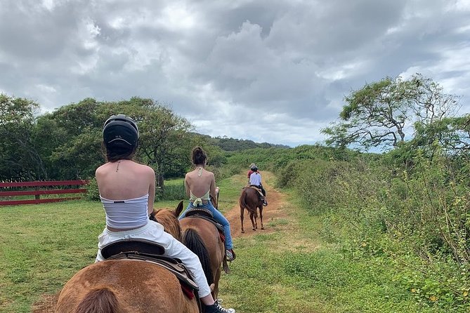 Horseback Ride Like an Authentic Paniolo in Kahuku - The paniolo theme: useful context, but keep expectations in check