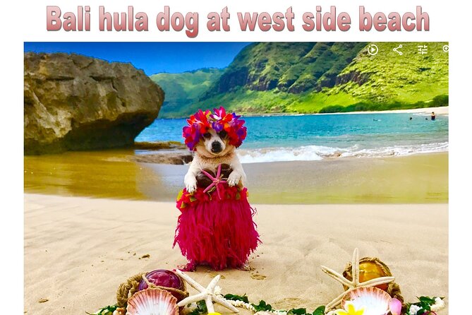 Incredible west side hidden gems -PLEASE CONTACT BEFORE BOOKING - Six hours, private transport, and the cost
