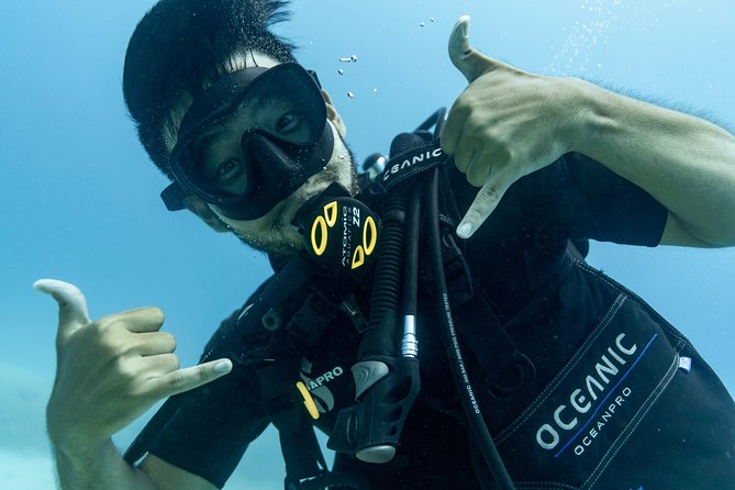 Incredibly Fun Coral Reef Giant Sea Turtles 4hour Boat Scuba Tour - Starting at 424 Nāhua Street in Waikiki