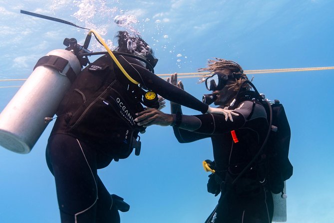 Incredibly Fun Coral Reef Giant Sea Turtles 4hour Boat Scuba Tour - Practical rules that can affect your plans