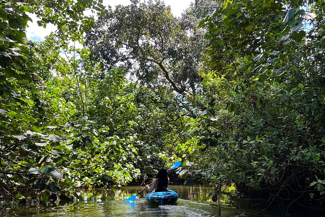 Kahana Bay River to Ocean: Kayak and Stand Up Paddle Board Rental - Key points to know before you book