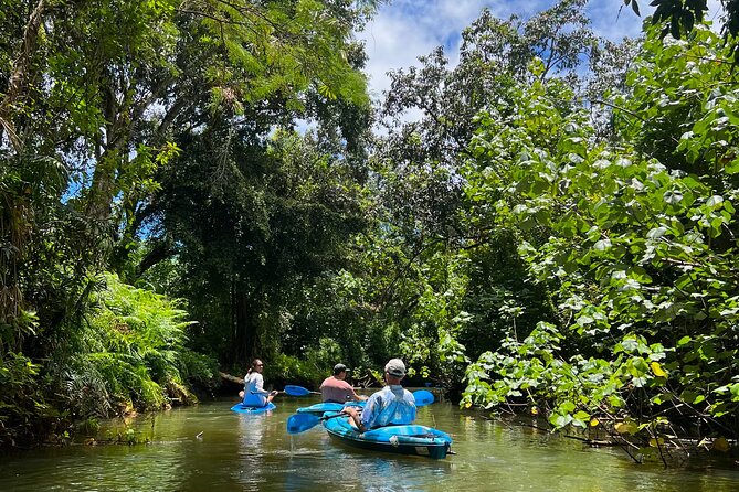 Kahana Bay River to Ocean: Kayak and Stand Up Paddle Board Rental - Beach time, rope swings, and a slower pace