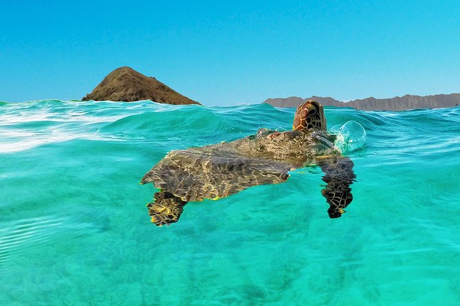 Kailua Bay, Oahu: Epic Kayak and Snorkel to Islands - The self-guided option and its tradeoffs