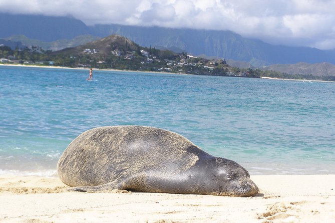 Kailua Bay, Oahu: Epic Kayak and Snorkel to Islands - Lunch, showers, and the value of the package