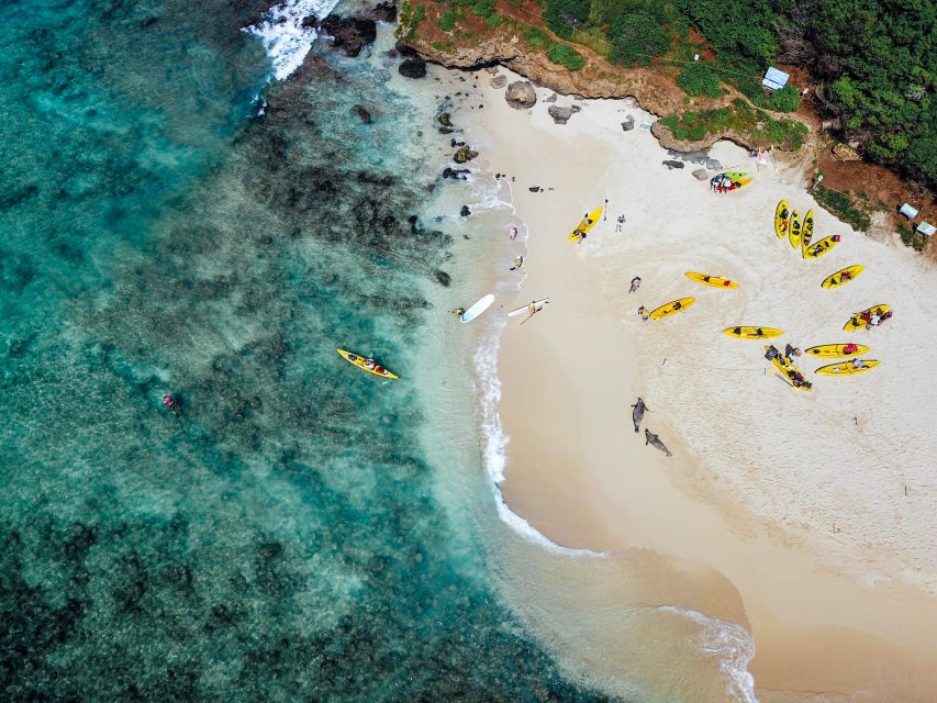 Kailua: Mokulua Islands Guided Kayak and Snorkeling Tour - What the $269 price really includes