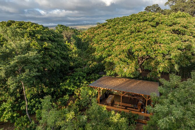 Kamananui Cacao Orchard Tour - Practical details that affect your visit