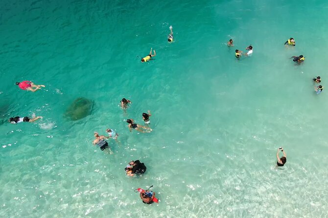 Kaneohe Sandbar Snorkeling Tour - 1st Tour - Snorkeling near the reef and turtle habitat