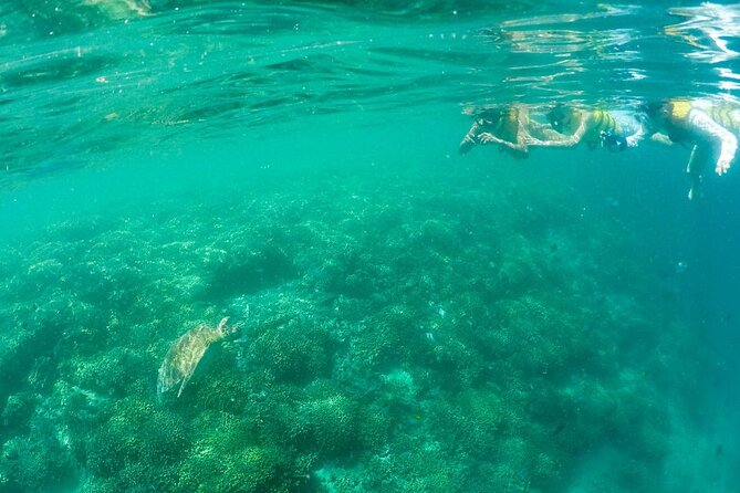 Kaneohe Sandbar Snorkeling Tour - 1st Tour - Snacks, drinks, and the small comforts that matter