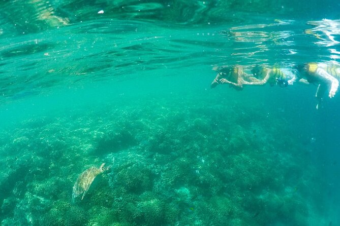 Kaneohe Sandbar Snorkeling Tour - 2nd Tour - Timing, weather, and practical limits