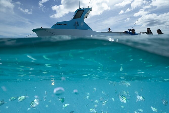 Kayak, Snorkel, and Surf with Turtles in Honolulu - Starting on a kayak or paddleboard over Waikiki Reef