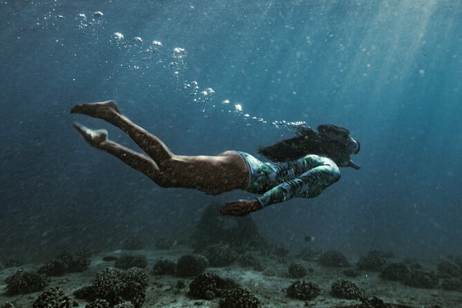 Kayak, Snorkel, and Surf with Turtles in Honolulu - A second snorkel at the shipwreck site