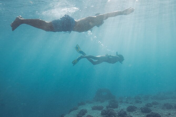 Kayak, Snorkel, and Surf with Turtles in Honolulu - Who will enjoy this most