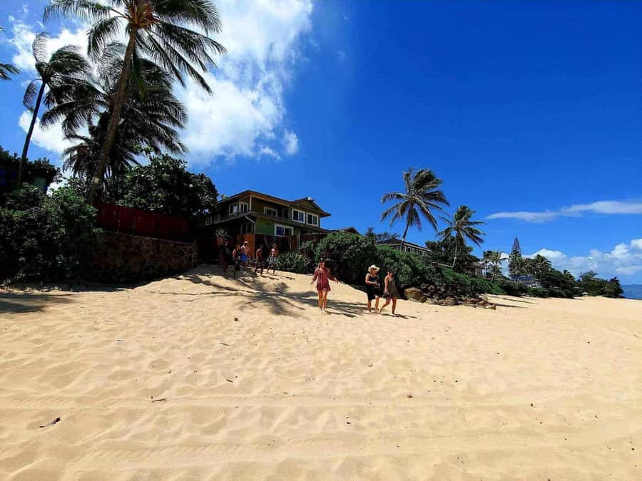 Kevo's Beach Bus - What the $149 price really covers