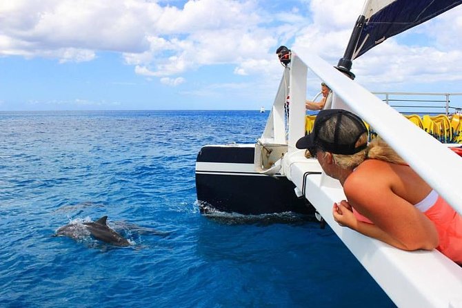 Ko Olina Catamaran Sail and Snorkel with Lunch - Why this Ko Olina boat trip works so well