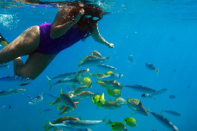Ko Olina Catamaran Sail and Snorkel with Lunch - Snorkeling over Oahu’s west-coast reef