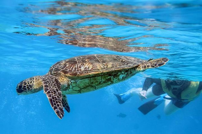 Ko Olina Catamaran Sail and Snorkel with Lunch - Who should book this experience