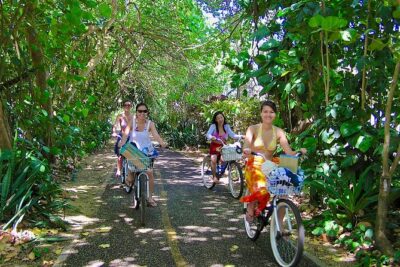 Ko Olina to North Shore Experience -Waimea Falls, Beaches & more
