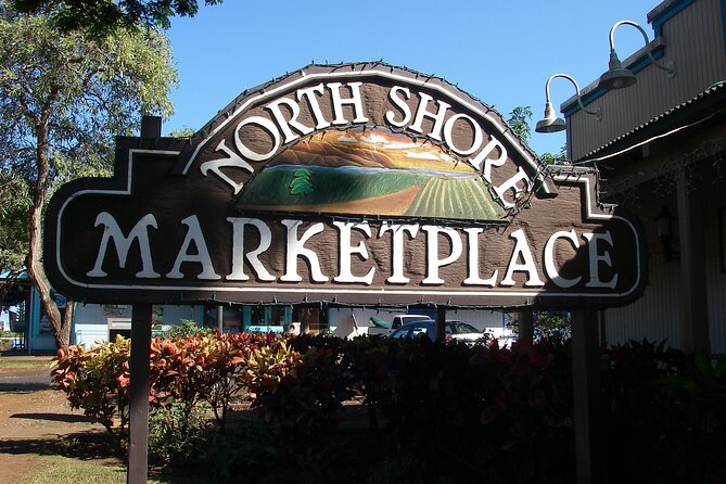 Ko Olina to North Shore Experience -Waimea Falls, Beaches & more - Shark’s Cove and the North Shore water