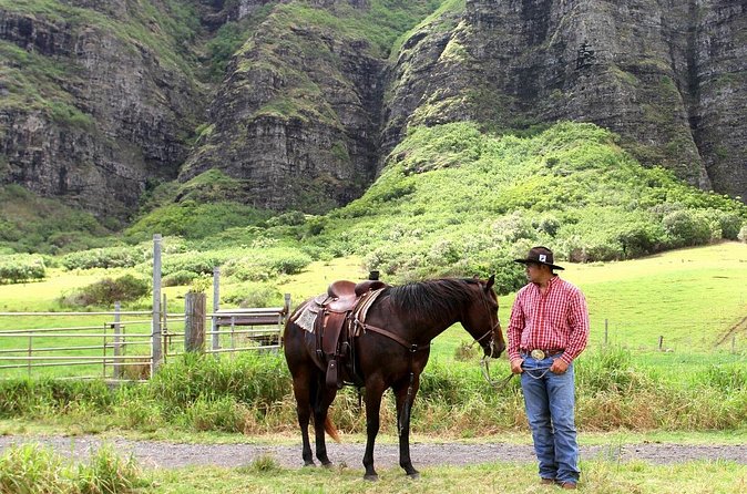 Kualoa Ranch - Horseback Walking Tour - Who should book this horseback tour?