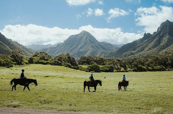 Kualoa Ranch - Horseback Walking Tour - Getting to the ranch without a stressful start