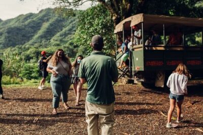 Jungle Expedition Tour